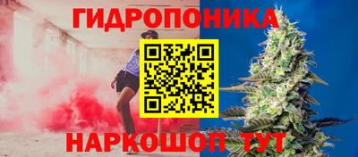 молекула духа Рязань