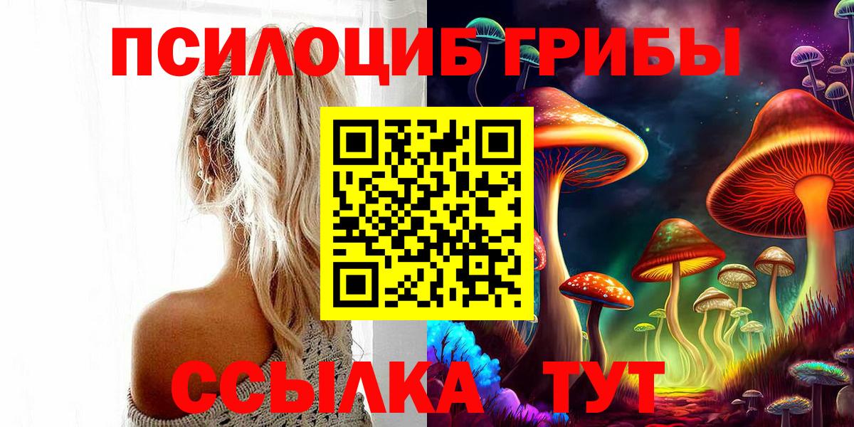 Галлюциногенные грибы мицелий  Вход с VPN  Псилоцибиновые грибы MAGIC MUSHROOMS  Сунжа 